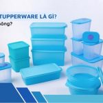Nhựa Tupperware là nhựa gì? Có tốt không? Top sản phẩm bán chạy 2023
