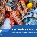 Vận chuyển hải sản tươi sống: Kỹ thuật mới nhất để đảm bảo chất lượng