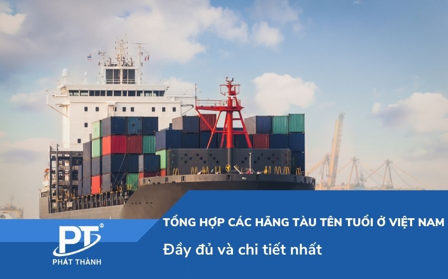 Tổng hợp các hãng tàu tên tuổi ở Việt Nam đầy đủ và chi tiết nhất