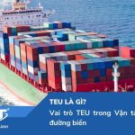 TEU là gì? Từ A-Z thông tin về TEU trong Vận tải container đường biển
