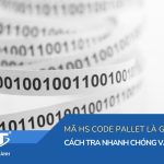 Mã HS code pallet là gì? Cách tra nhanh chóng và chính xác