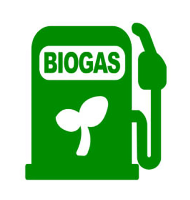 Sinh khối và Biogas 