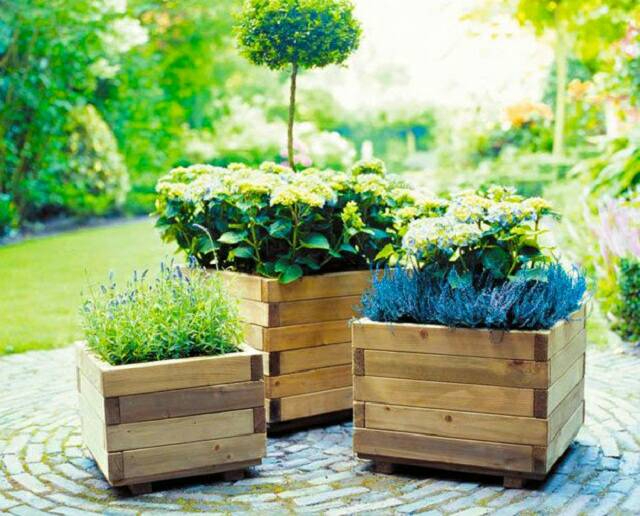 Tận dụng pallet gỗ và nhựa làm chậu cây