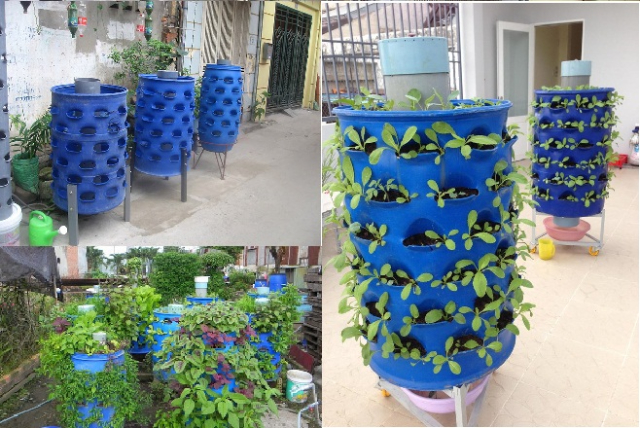 Tái chế thùng phuy làm bồn trồng rau xanh