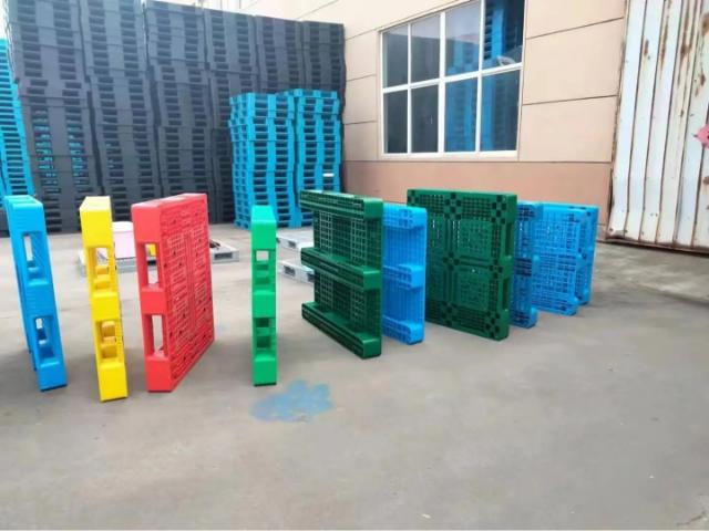 Các loại pallet nhựa phổ biến Vĩnh Long