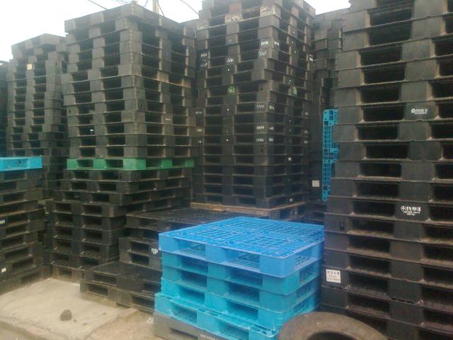 Pallet nhựa cũ