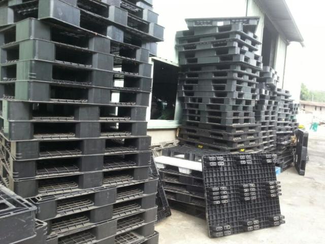 Pallet nhựa cũ