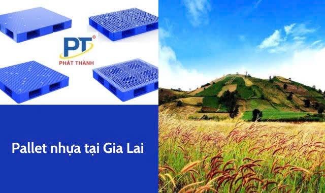 Pallet nhựa tại Gia Lai