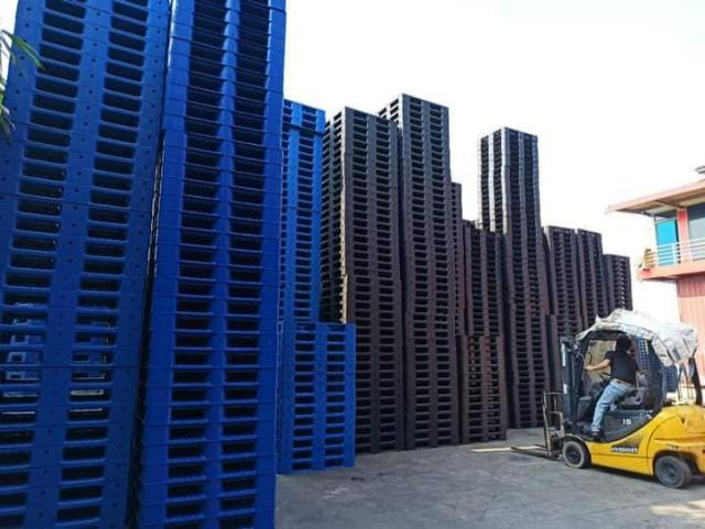 Ứng dụng của pallet nhựa tại Phú Thọ